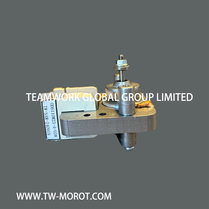 Multifunctional Electric Oven Motor
