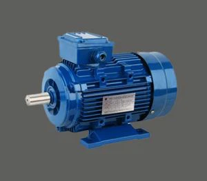 AC Y2-2 Induktsioon Mootor tööriistade, Pumbad