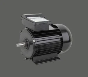 AC YY 220V 50Hz asünkroonmootoriga pesumasin