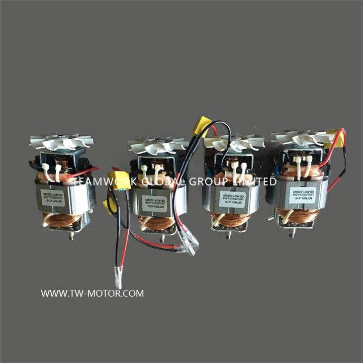 Universal Motor For Kitchen Appliance.
