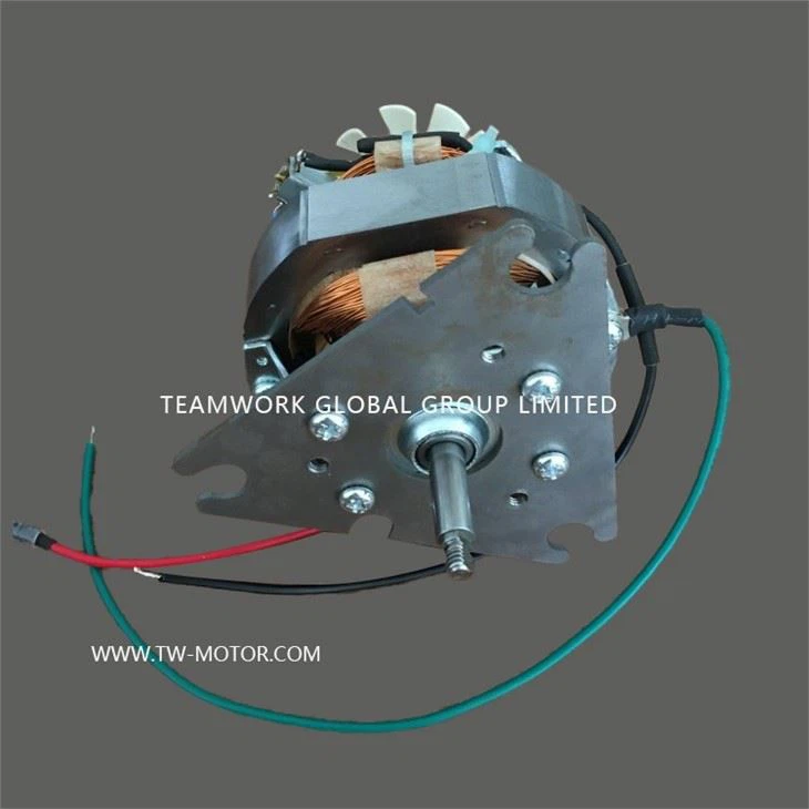 Wall Breaking Machine Motor
