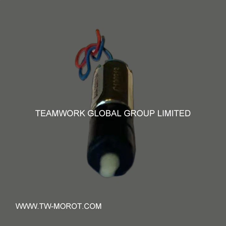 Intelligent Electronic Lock Motor