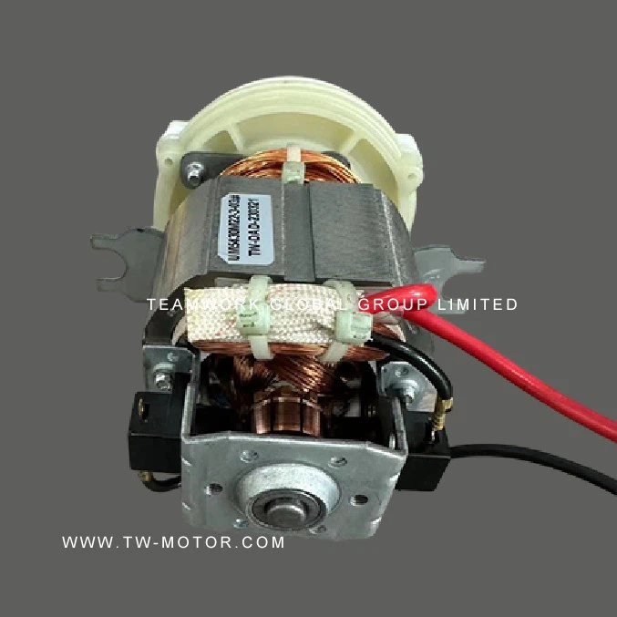 Mini Blender Motor