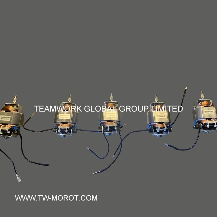 Universal High-speed Mixer Motor