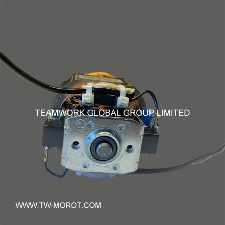 Universal High-speed Mixer Motor
