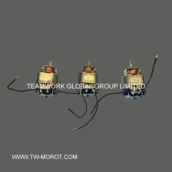 Universal High-speed Mixer Motor